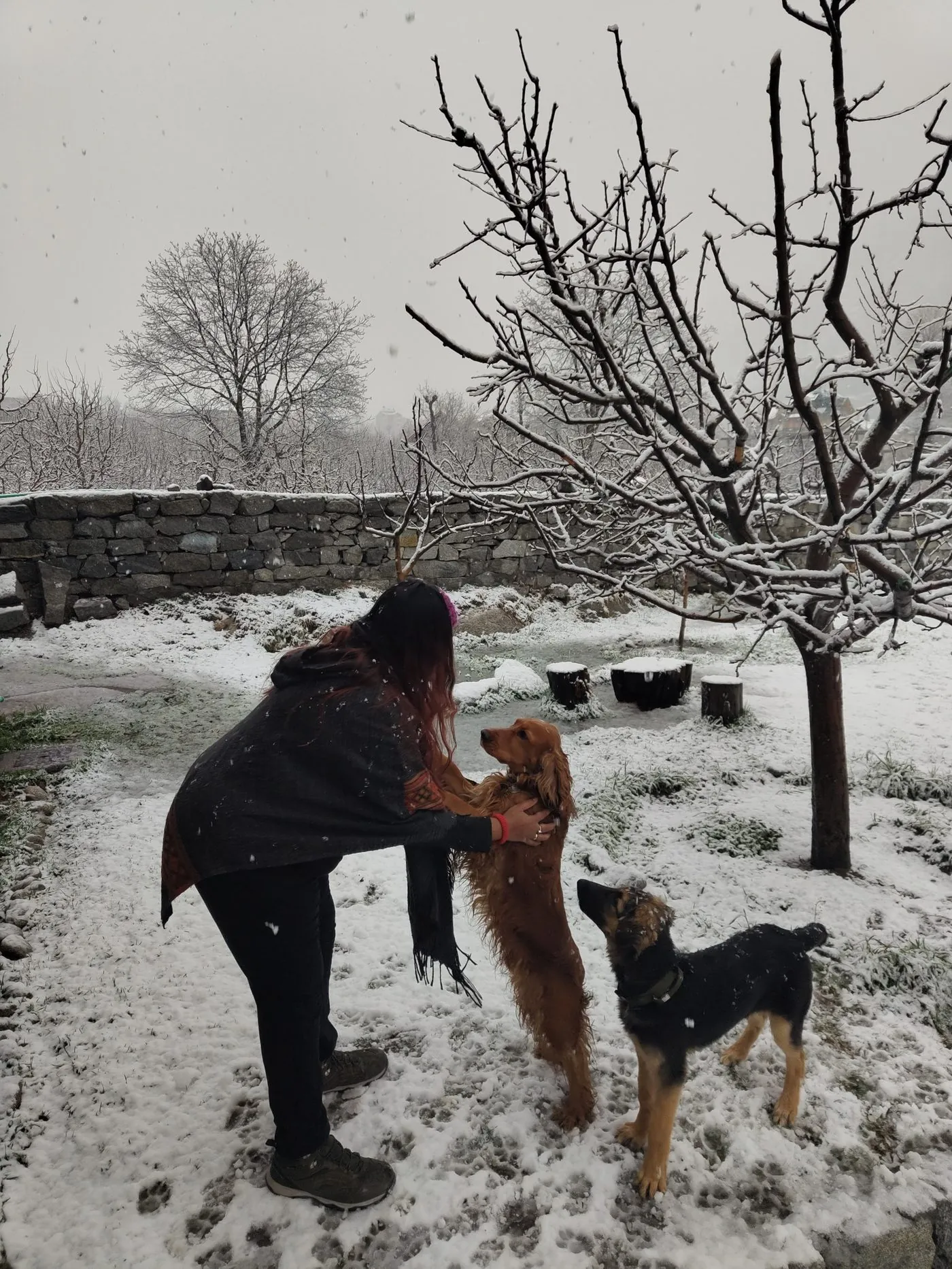 Mugdha outdoors with her dogs in snow