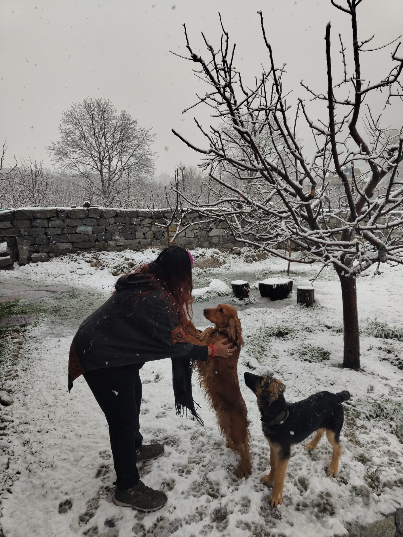 Mugdha with dogs in snow