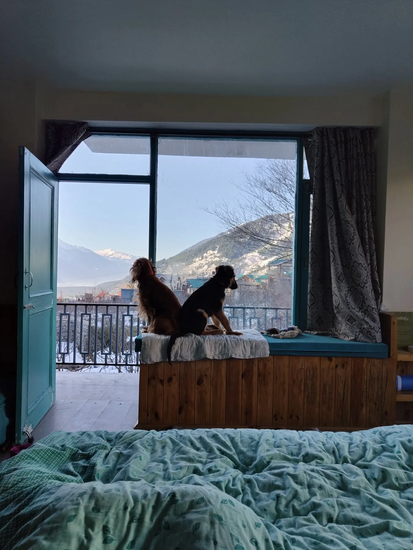 Two dogs looking out from a mountain stay