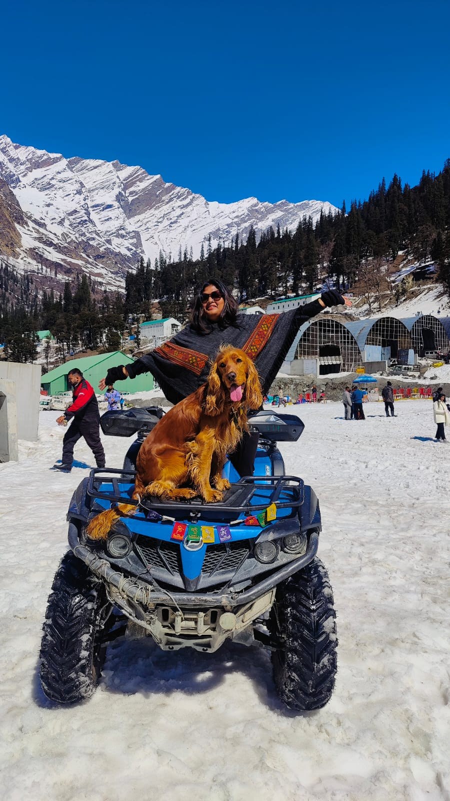 Mugdha and Simba in the Himalayas during dog travel