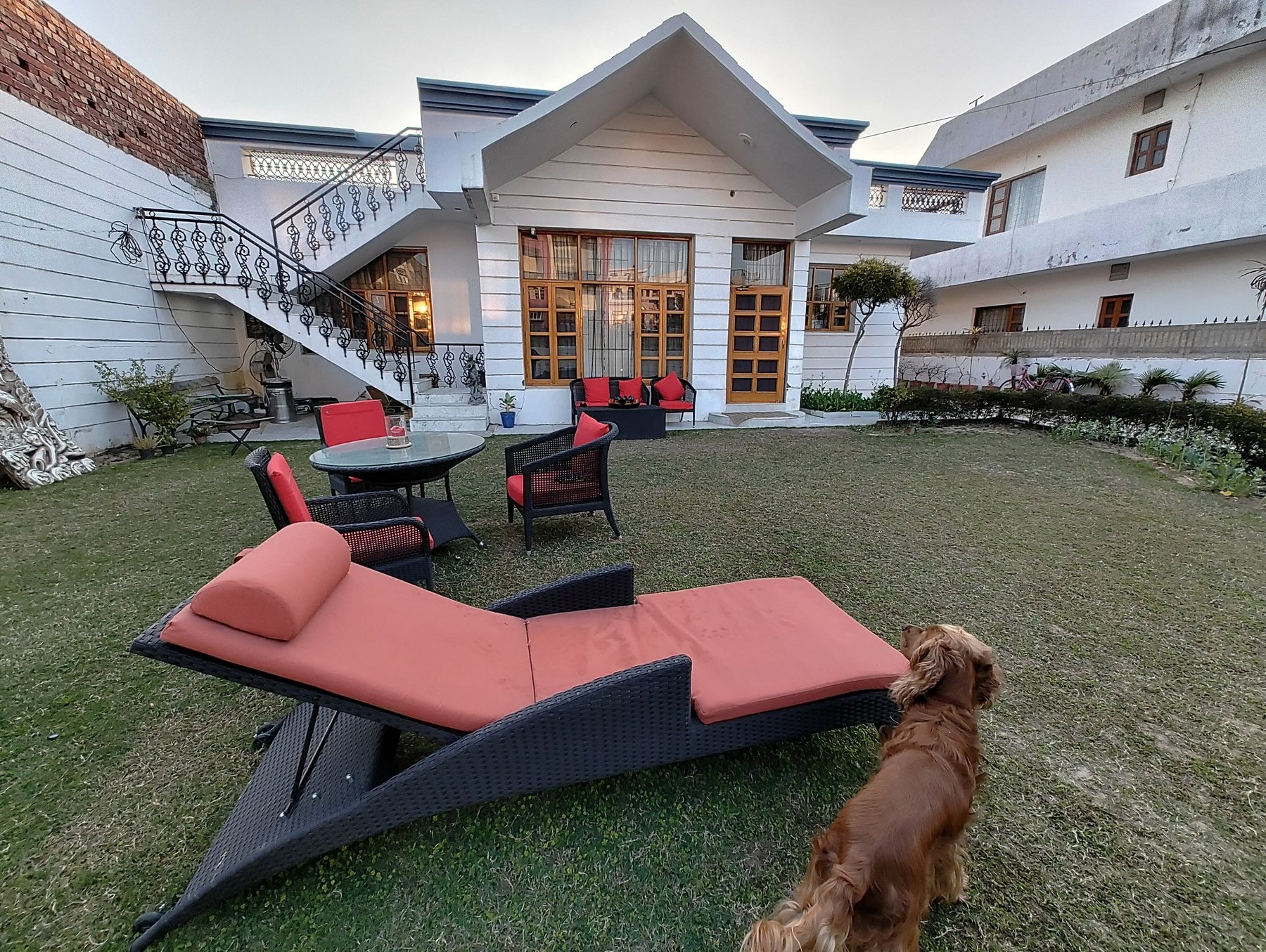 Pet-Friendly vs Pet-Ready: What Dog Parents Should Check Before Booking a Stay